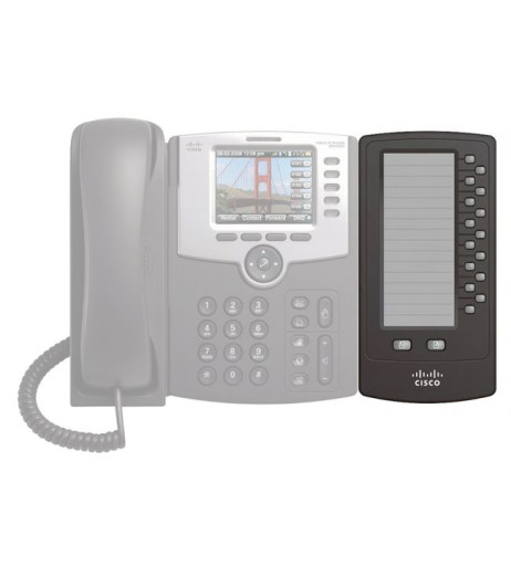 Cisco SPA500DS