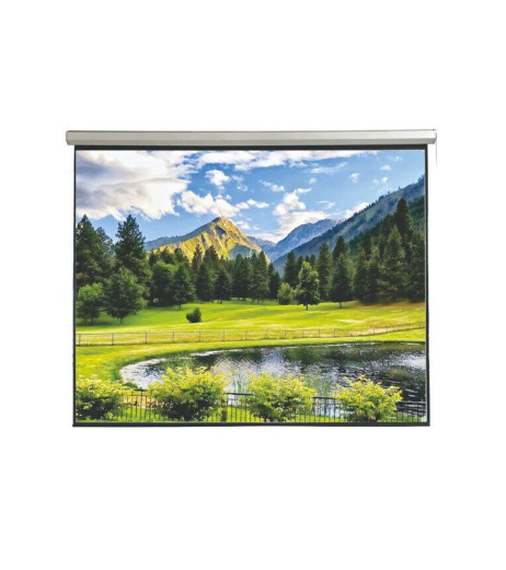Electric screen with remote control 350x219cm Matt White