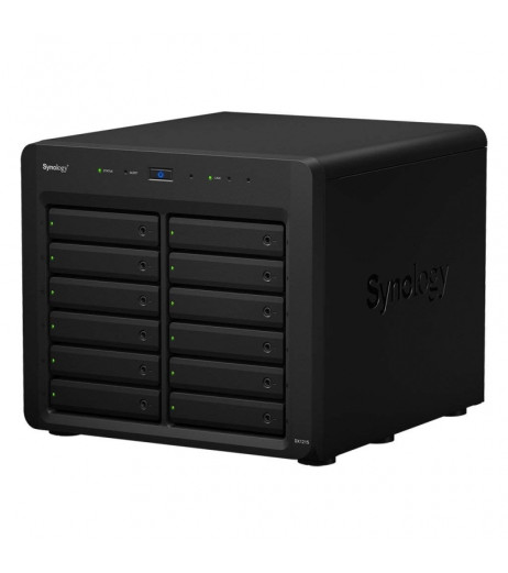 Synology DX1215