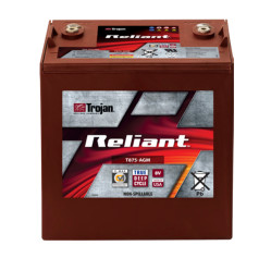 Trojan T875-AGM